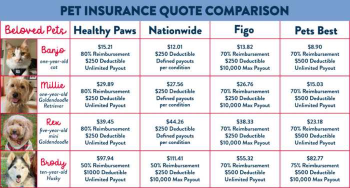 Pet insurance coverage