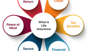 Life insurance plans